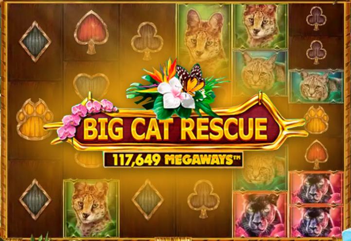 Big Cat Rescue MegaWays